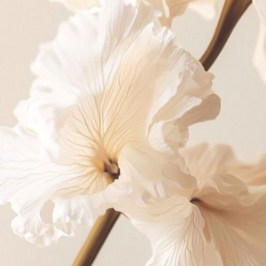 Botanical Ingredient