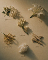 A styled flat-lay of five dried botanical and wood elements labeled 'jasmine', 'lily', 'tuberose', 'ylang lang', and 'white woods' with 'mask' written below, arranged on a warm beige background with soft shadows.