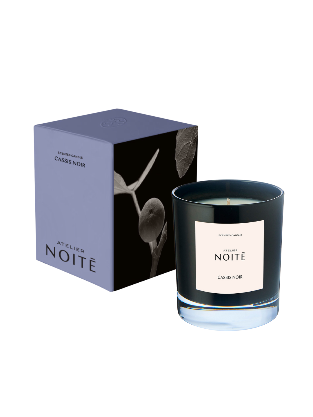 CASSIS NOIR CANDLE